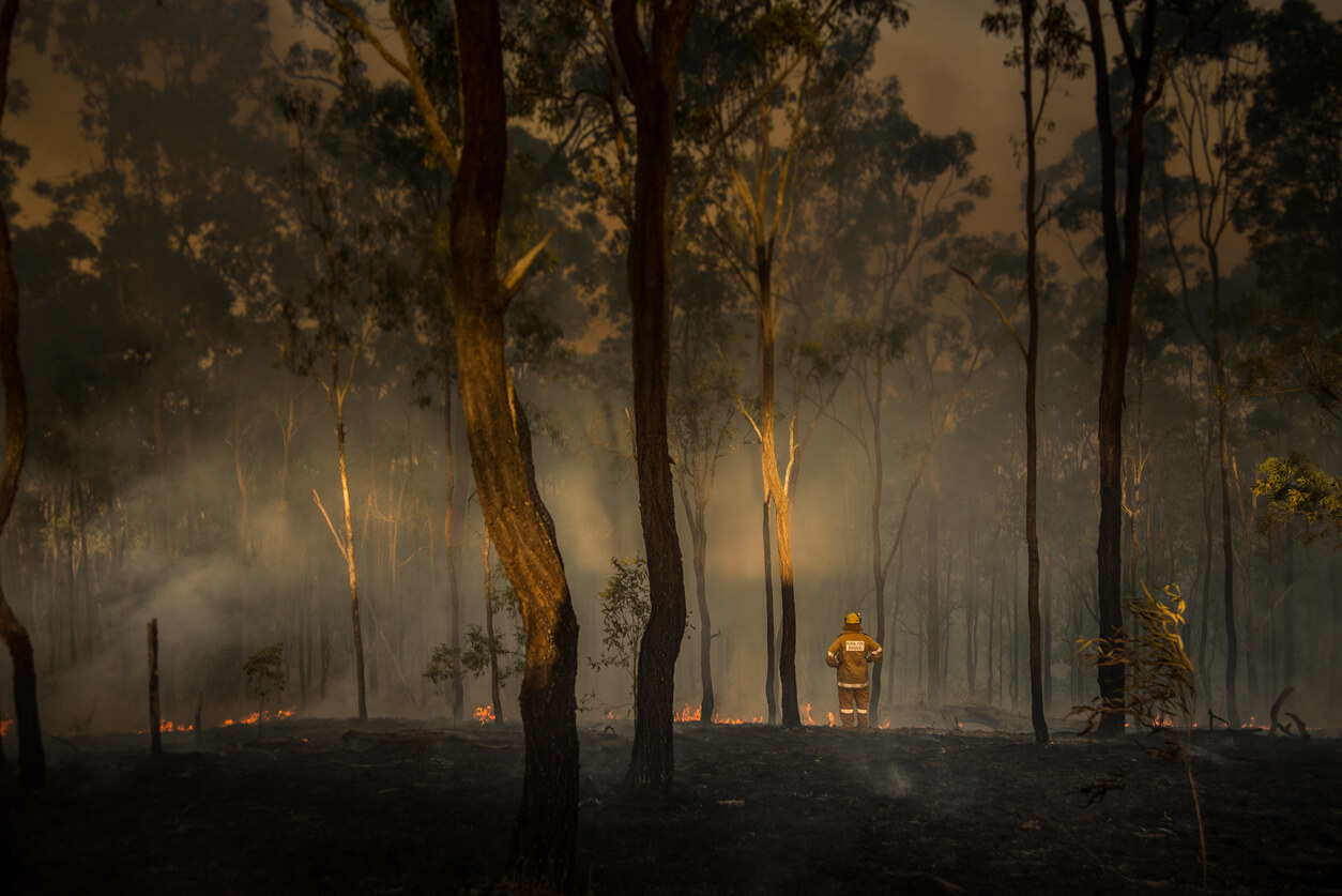 End to the Quietest Fire Season Bushfire Consulting Services